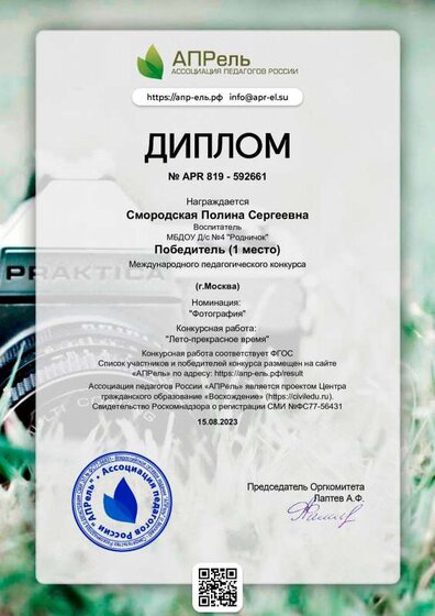 diplom_592661.pdf.jpeg