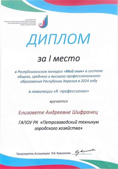 1 место_СКИН_Шифранец.jpg