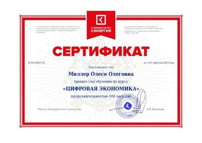 Tsifrovaya ekonomika_page-0001 (1).jpg