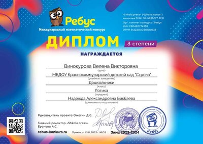 Диплом 3 степени (1).jpg