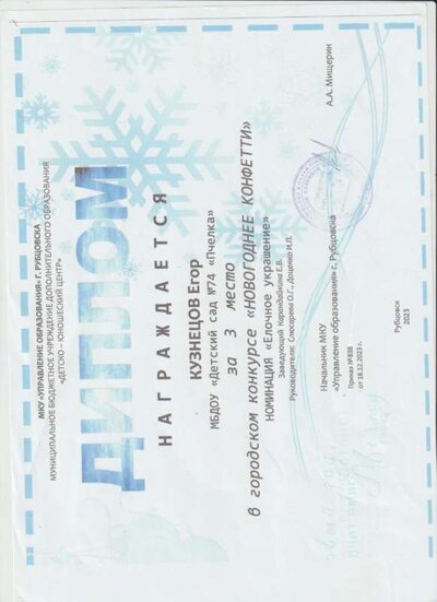 новогоднее конфетти 23 год 3 место 001.jpg