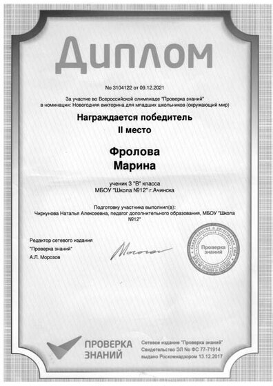 Фролова Марина.pdf.jpeg