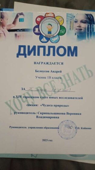 диплом андрей 23 год.png