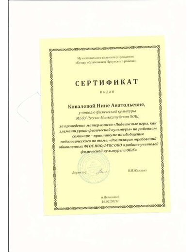 сертификат мастер-класс.pdf.jpeg