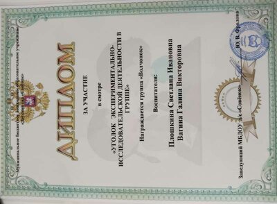 диплом педагог.jpg