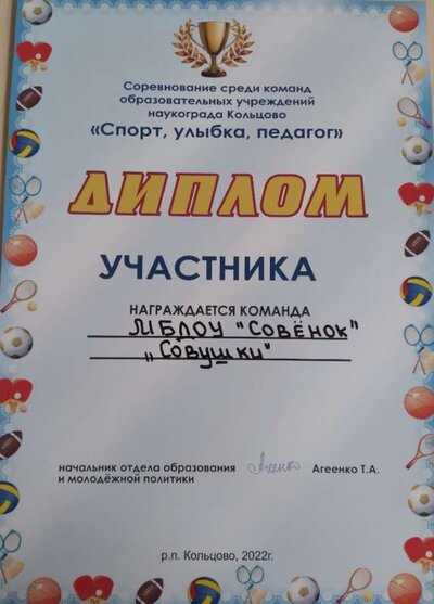 диплом педагог (3).jpg