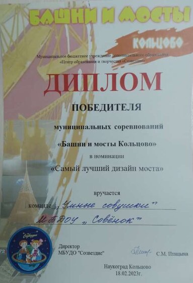 диплом педагог (2).jpg