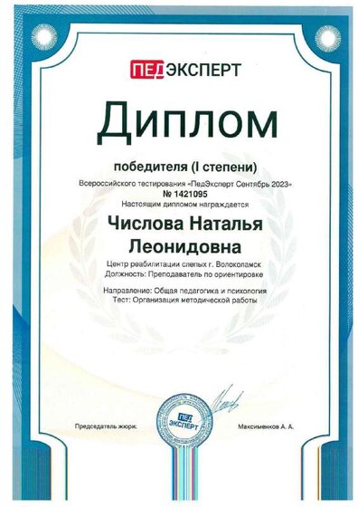 Диплом победителя Всероссийского тестирования.pdf.jpeg