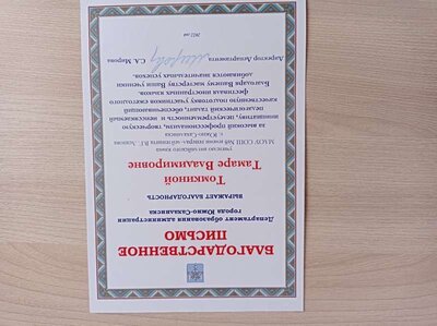 IMG_20241118_124721.jpg
