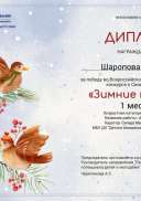 1 место, Шаропова Самира Зимние птицы.jpg