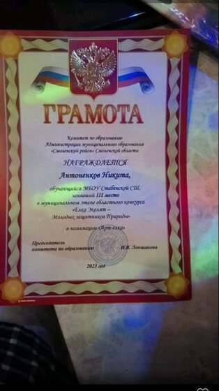 20241128_001010грамота Никиты.jpg