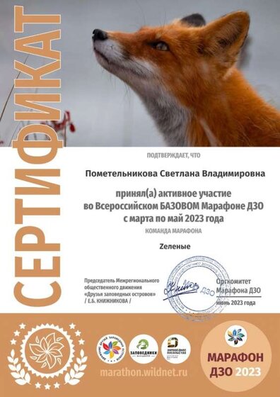 diplom.jpg