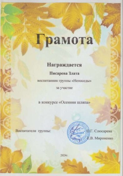 осенняя шляпа участие 2 001.jpg