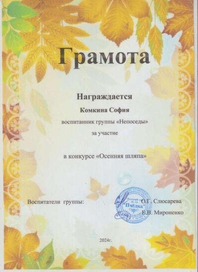 осенняя шляпа участие 3 001.jpg