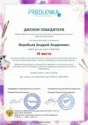 winner_diploma.jpg