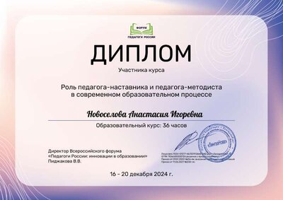 Диплом Новоселова Анастасия Игоревна_j7U.pdf.jpeg