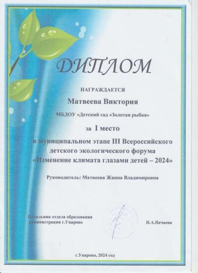 диплом1.jpeg
