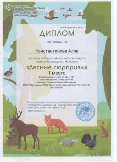 Диплом Константинова Алла 2024.jpg
