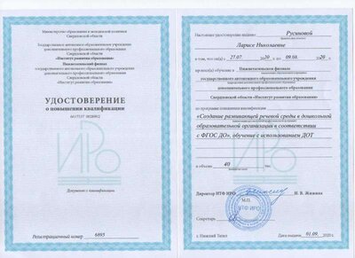 Курсы повышения квалификации  ИРО г.Нижний Тагил 2020.jpg