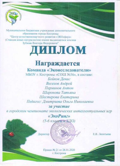 сертификат21.jpg