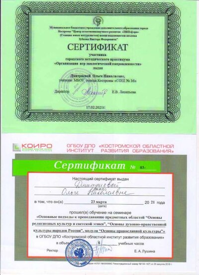 сертификат19.jpg