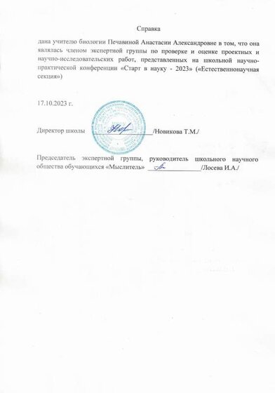 справка2 (1).pdf.jpeg