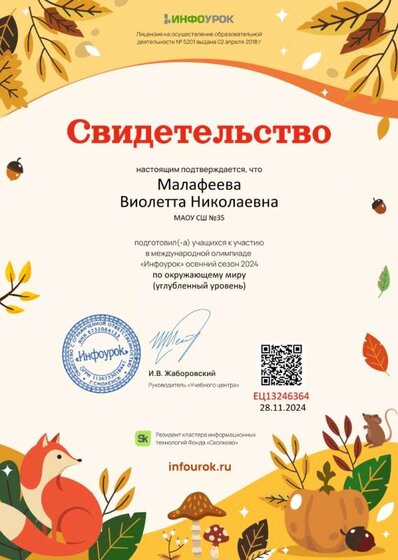 Свидетельство проекта infourok.ru №ЕЦ13246364.jpg