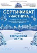 Ефимовой.jpg