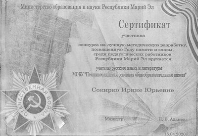 Сокирко И.Ю. сертификат 75.pdf.jpeg