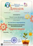 диплом махова.png