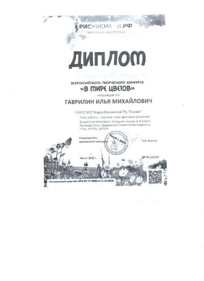 Диплом победителя всерос конкурса.pdf.jpeg