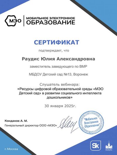 Раудис ЮА.pdf.jpeg