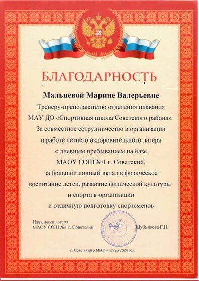 благодарность площадка.pdf.jpeg