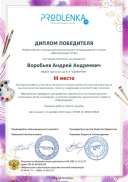 winner_diploma_page-0001.jpg