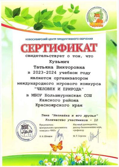 чип.jpg