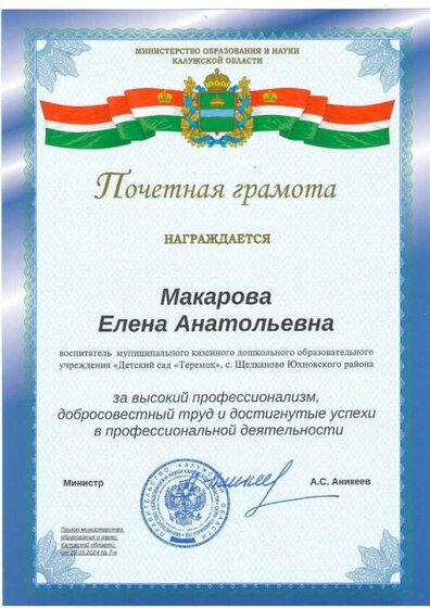 Грамота Министерства Макарова.jpg