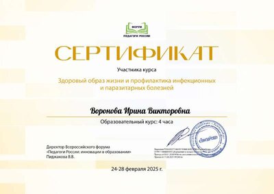 Воронова Ирина Викторовна_SQC.pdf.jpeg