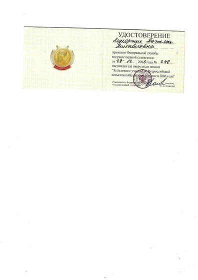 Перепись нагрудный знак.pdf.jpeg