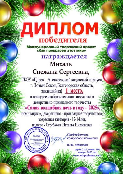 снежана диплом.jpg
