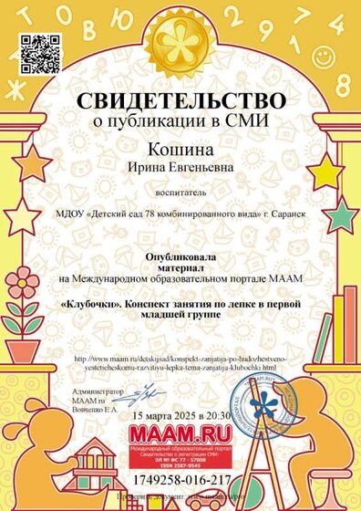 1749258-016-217-sert.jpg