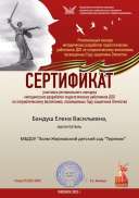 Брандуш Е.В..pdf.jpeg