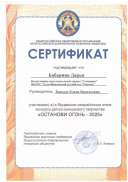 Scan_20250402_222411_003.jpg
