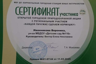 20250404_114333.jpg