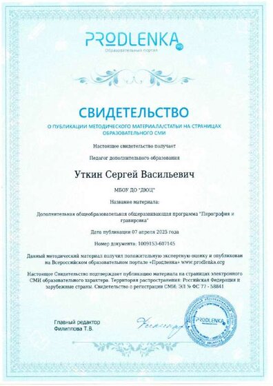 Свидетельство Уткин (публикация).pdf.jpeg
