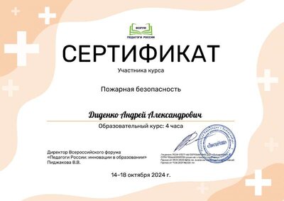 Диденко Андрей Александрович_4NZ.pdf.jpeg