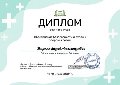 Диденко Андрей Александрович_odg.pdf.jpeg