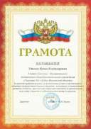 Грамота за волонтерство.PNG