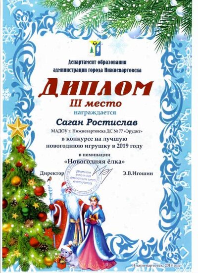 Нов. игрушка.jpg