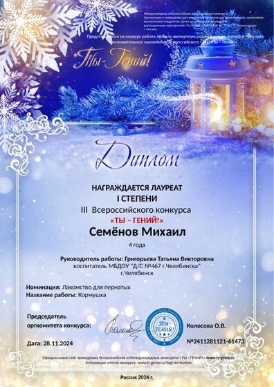 diplom-2411281121-61473.pdf.jpeg