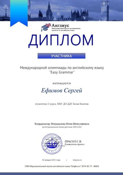 ефимов диплом участника.jpeg